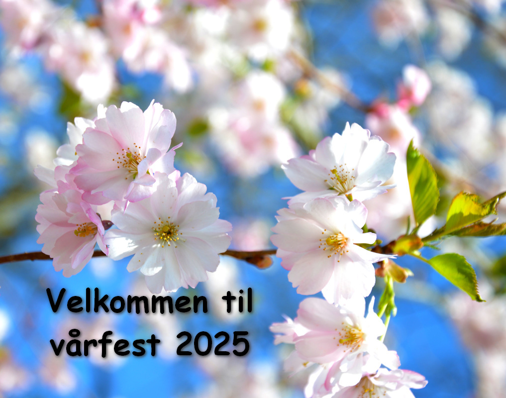 Artikkelbilde til artikkelen Velkommen til vårfesten 2025